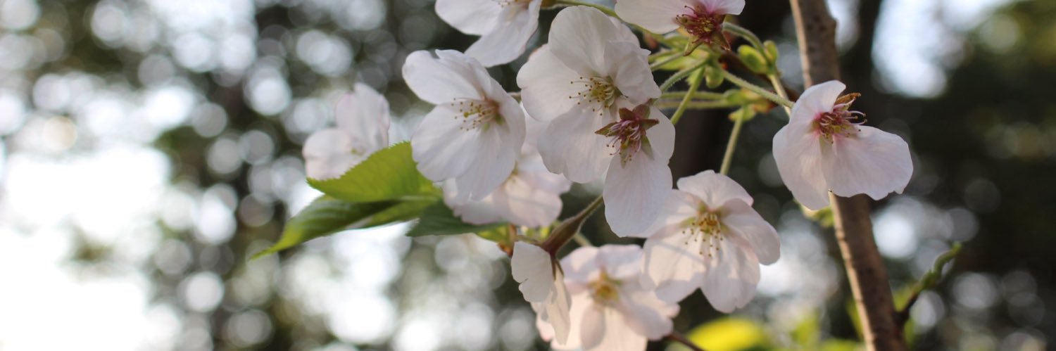 msai_15's profile banner image
