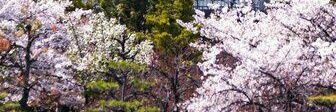 mohamed9711's profile banner image