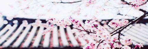 soojungifs's profile banner image