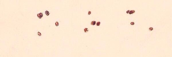 freedoom1983's profile banner image