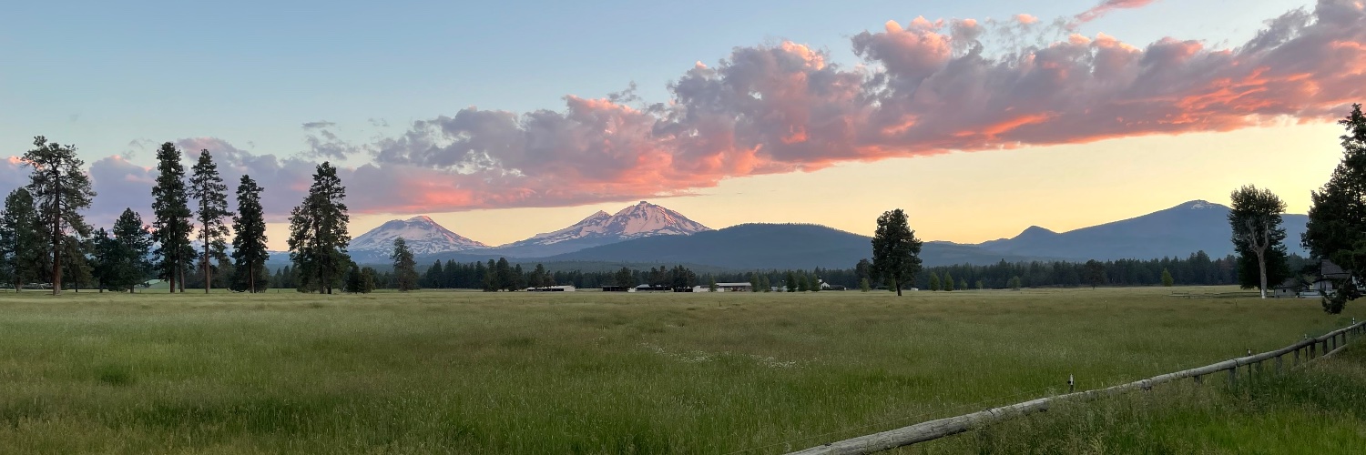 Chris Blosser banner