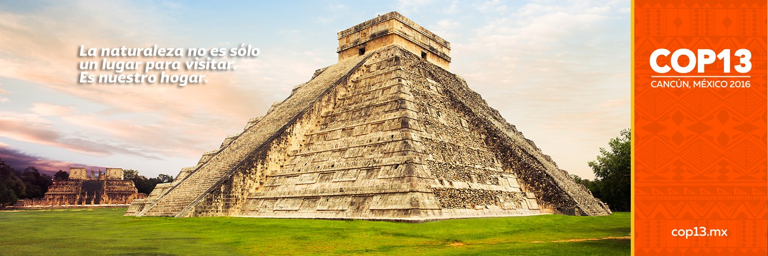 COP13MX banner