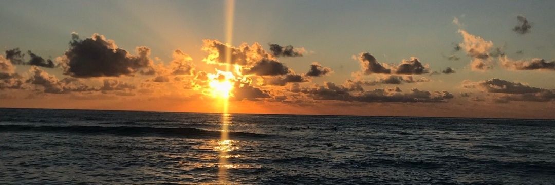 lizfresavioleta's profile banner image