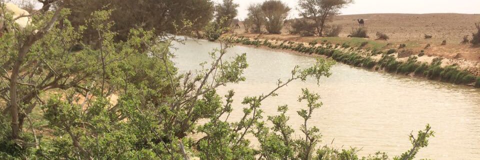 Khaled08021752's profile banner image