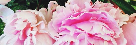 IreneMartinB's profile banner image