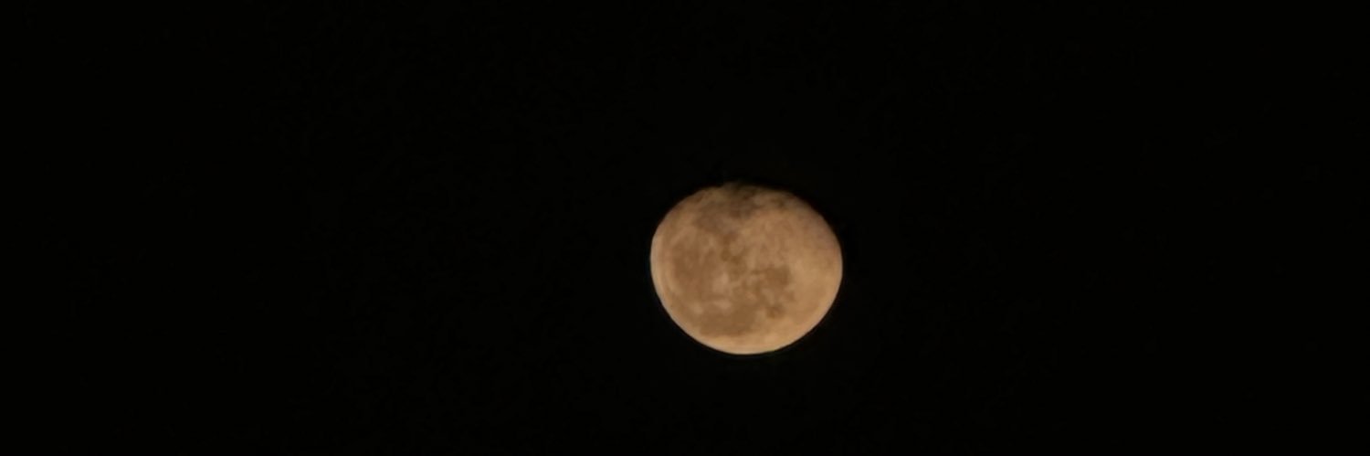 monikcabral__'s profile banner image