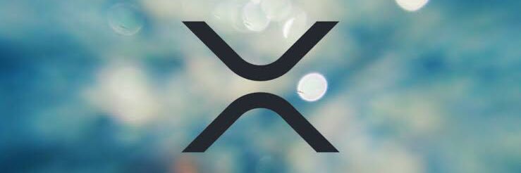 BD's banner