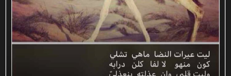 mbs_nw's profile banner image