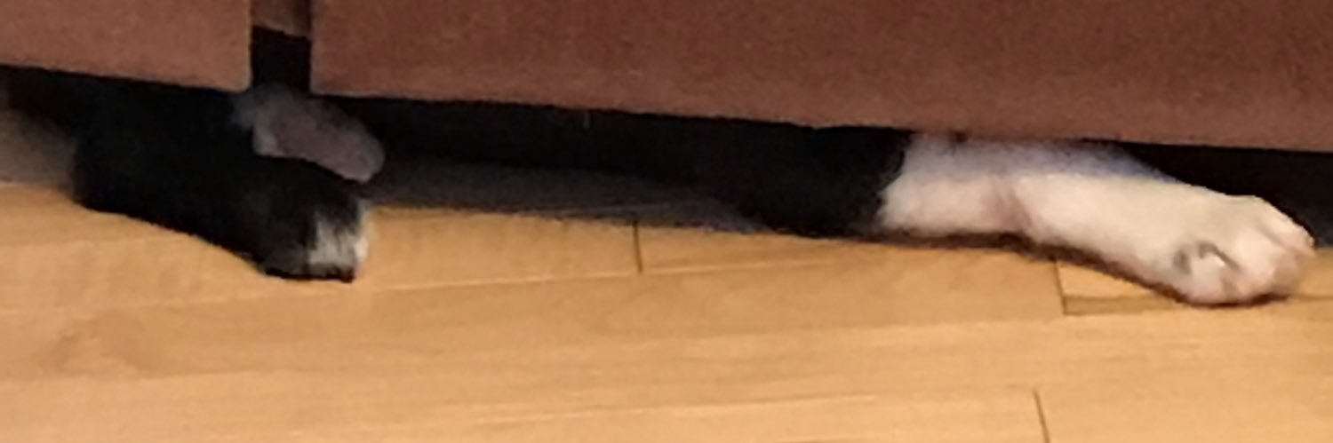 tlpatterson23's profile banner image