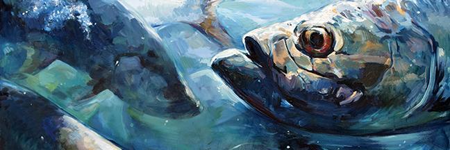 tdauria_art's profile banner image
