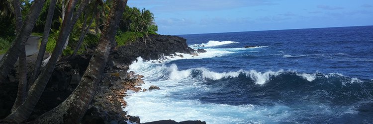 Mama Duck... SpaceForce Bartender banner