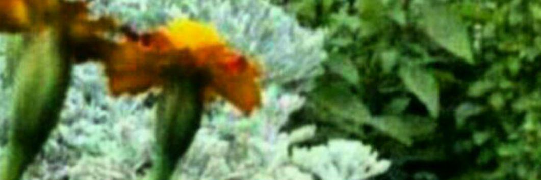 abdullahomari11's profile banner image