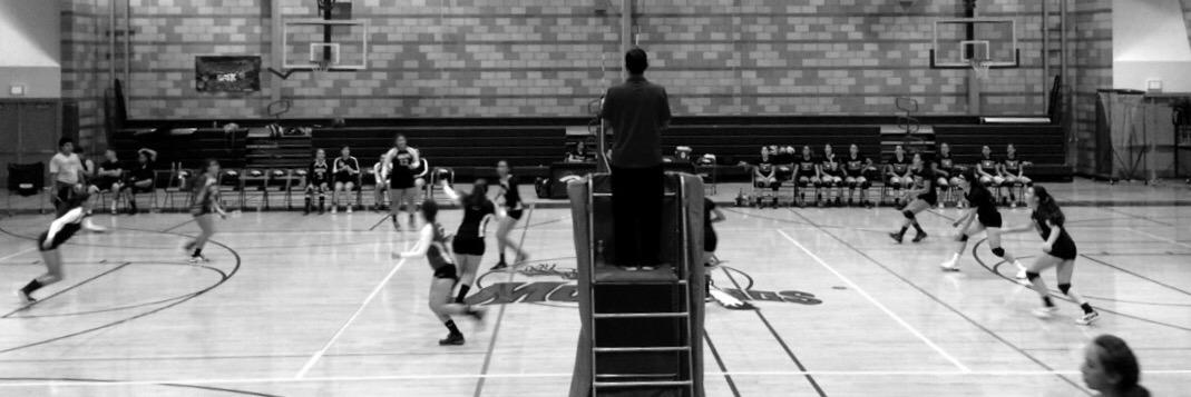 Arleta_VB's profile banner image