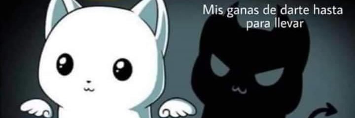 Jav´s  #Javs® Tuneo memes!  𝕏 🧢's banner