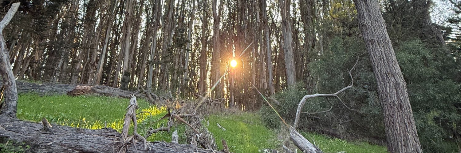 Brenda Godinez banner