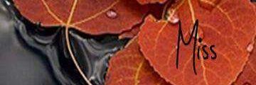 udhink074's profile banner image