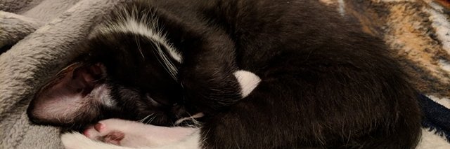 ljb879's profile banner image