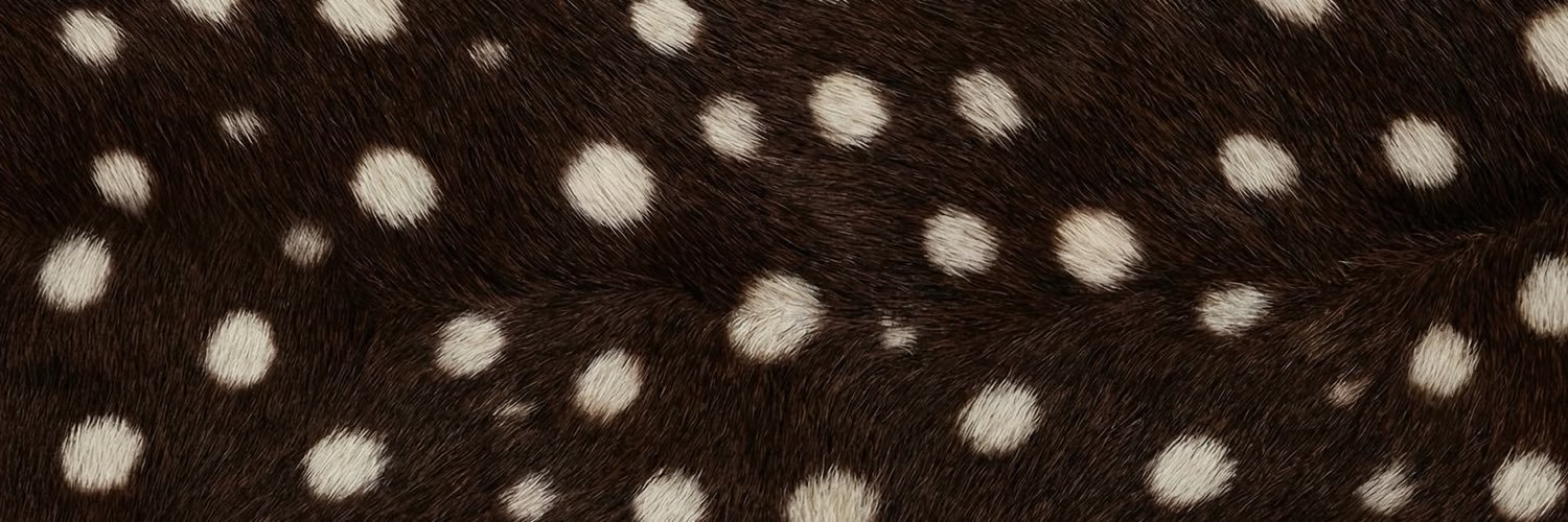 withinmyaurra's profile banner image