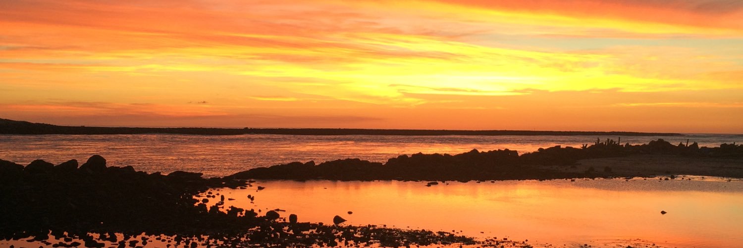 Classic Robin banner