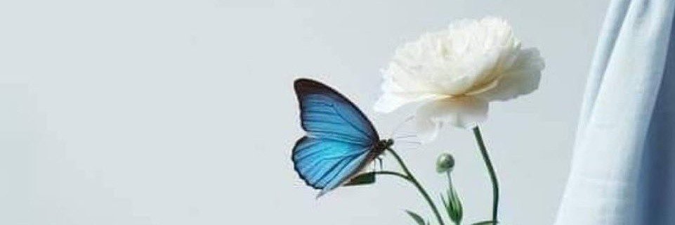 Lmoosh_Vibes's profile banner image