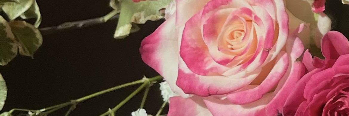 zinb_29's profile banner image
