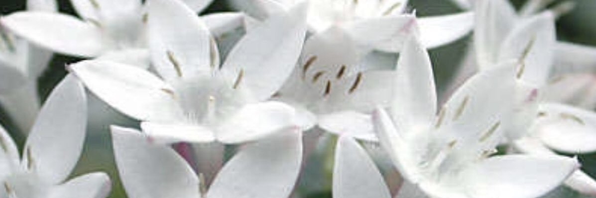 ahon1404's profile banner image