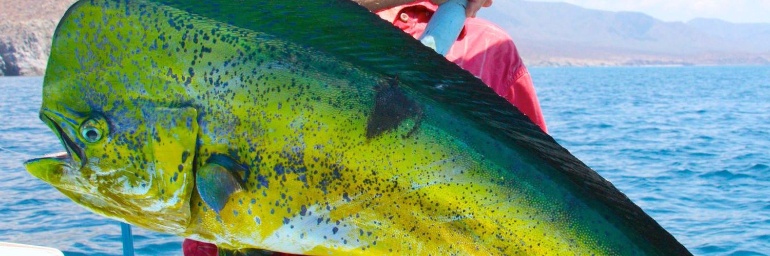 Happy Sportfishing banner