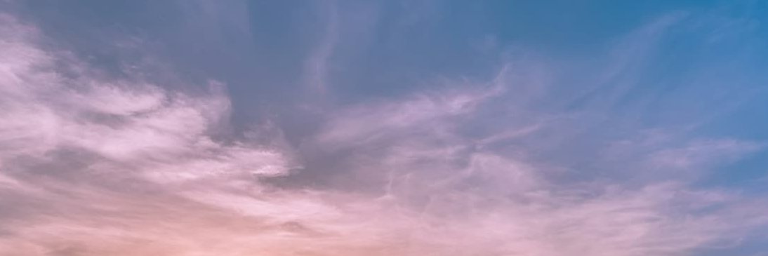 Sophie and Miku(ソフィーとミク) banner