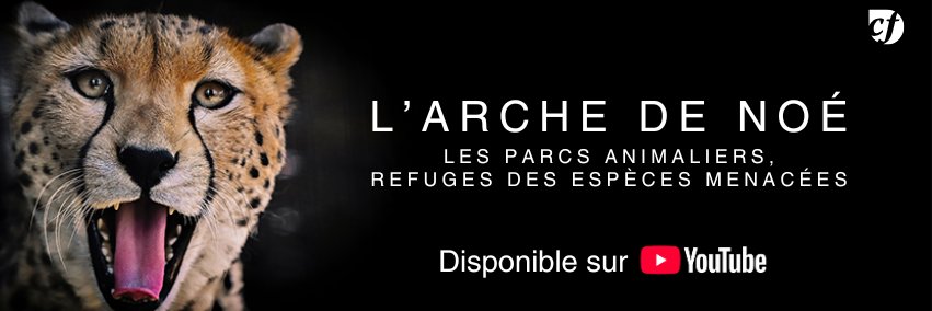 L'Écho Républicain banner