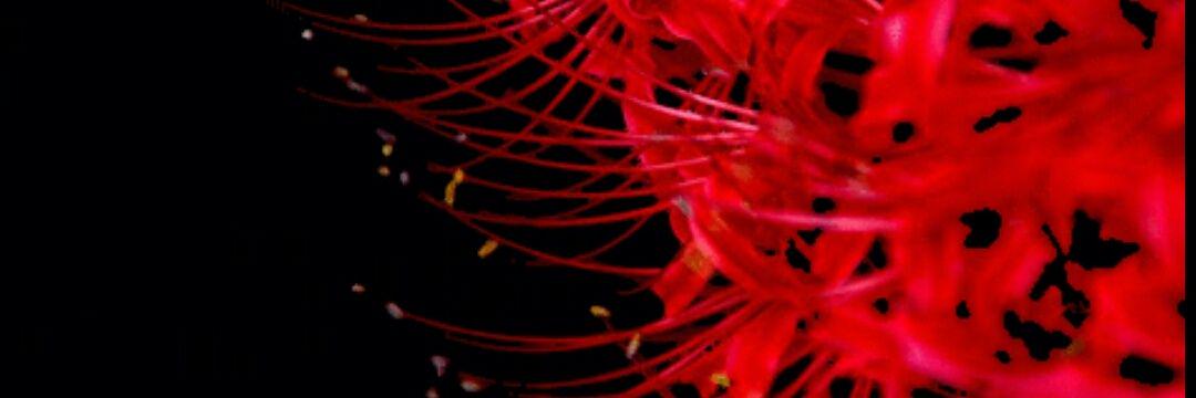 __922_fw's profile banner image