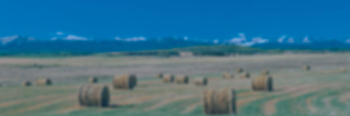 CPCFoothills's profile banner image