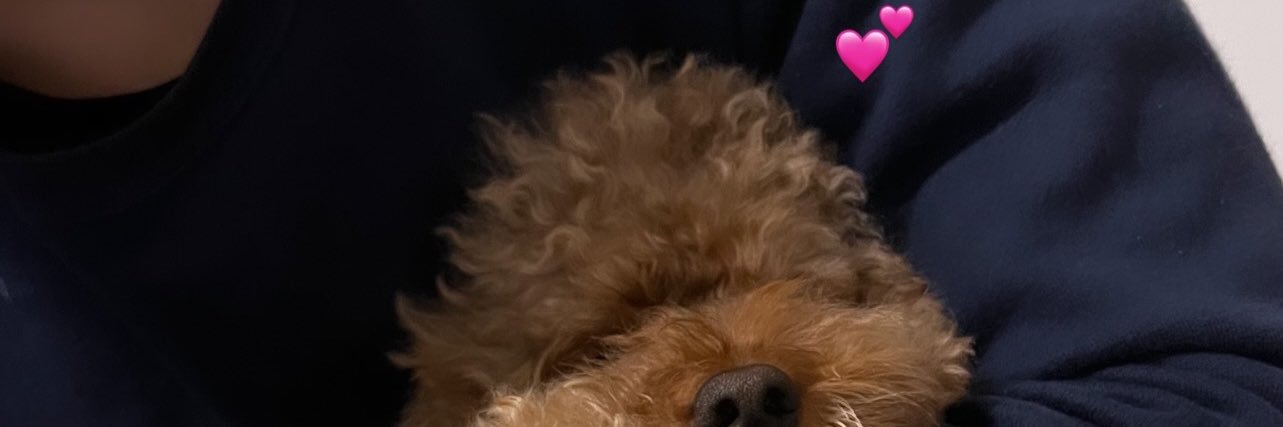 82____t's profile banner image