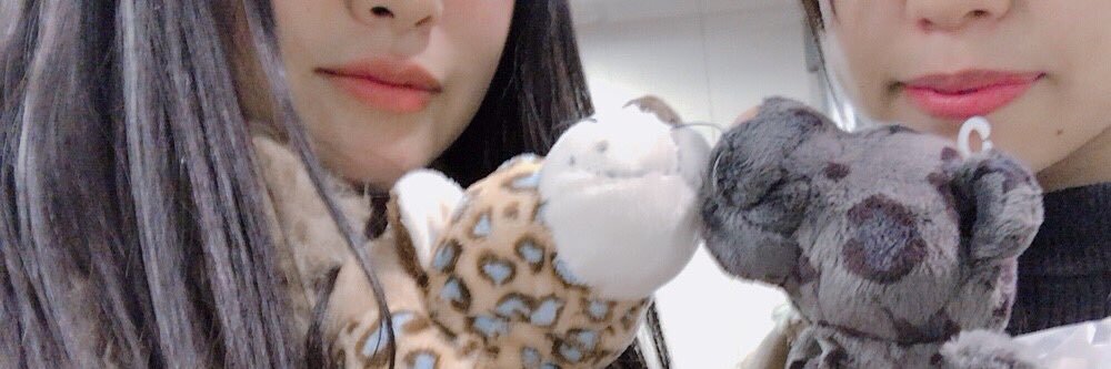 SHISHAMO_0518's profile banner image