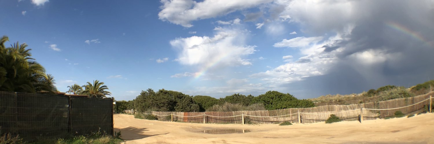 Roberto Algaba banner