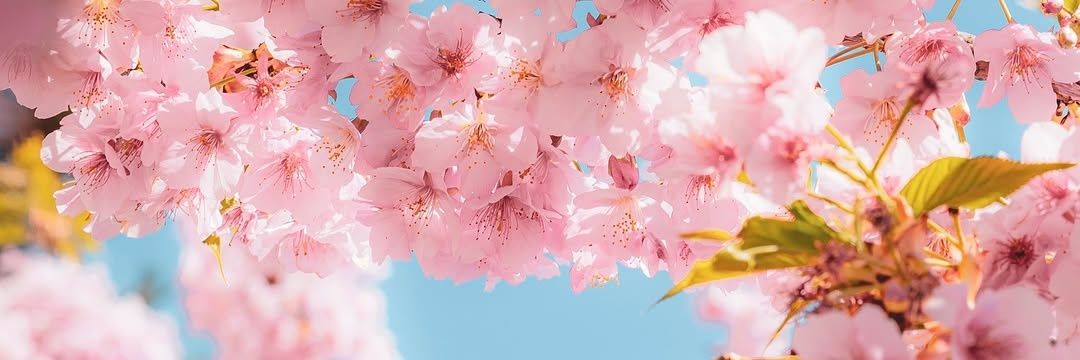 min1118m's profile banner image