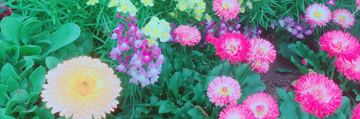 string_stb's profile banner image