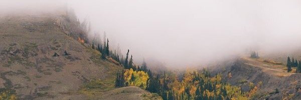 snowlee127's profile banner image