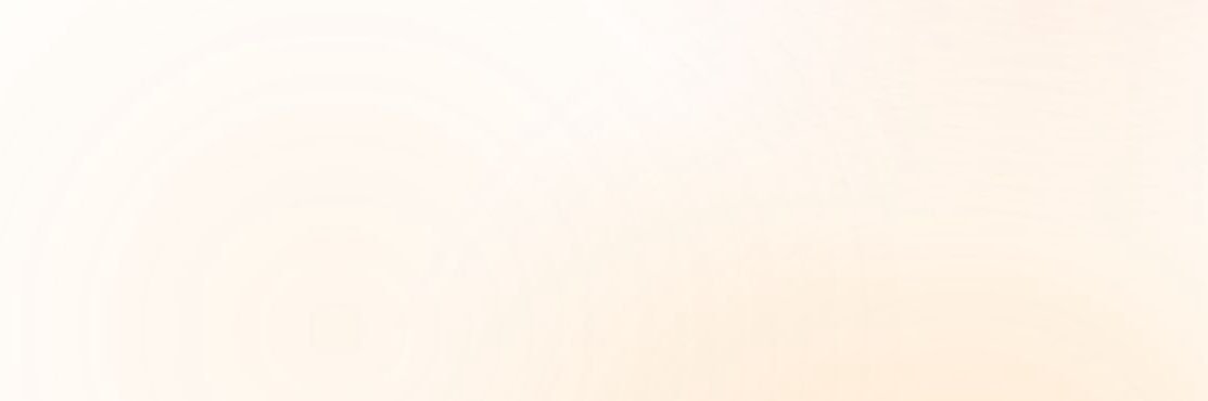 Z A I N A B . banner
