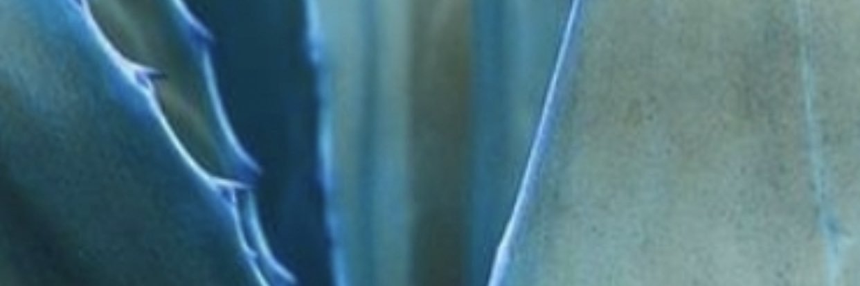 DGirlinTX's profile banner image