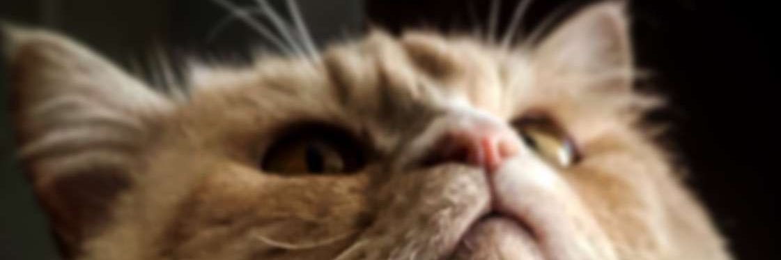 3doola4's profile banner image