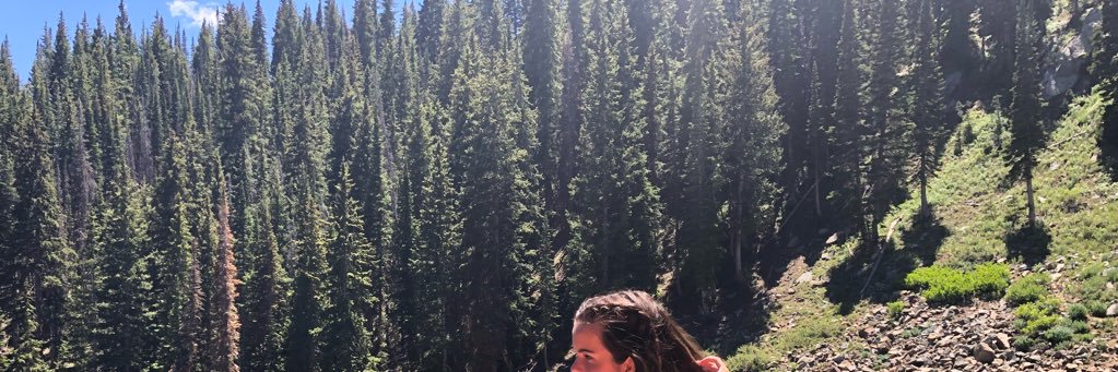LilaRupp's profile banner image