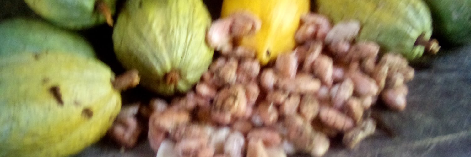 jose gonzalez banner