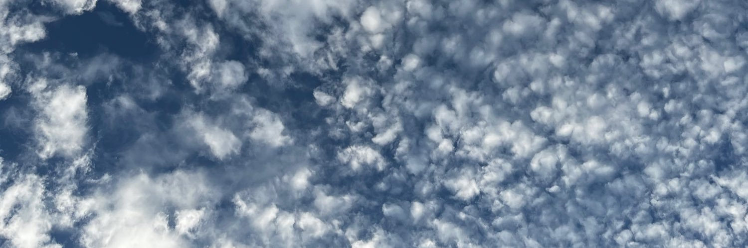 greysxcl's profile banner image