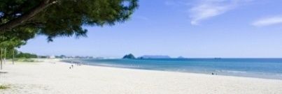 ジェットビートル（タウリン1000mg配合） banner