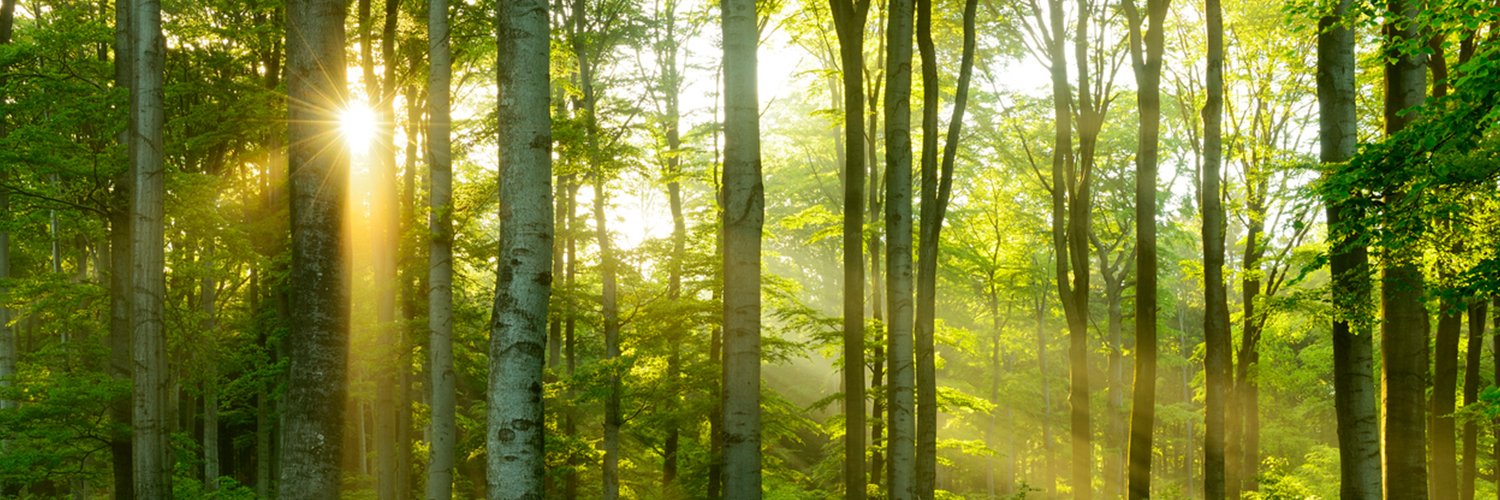 encstrategy's profile banner image