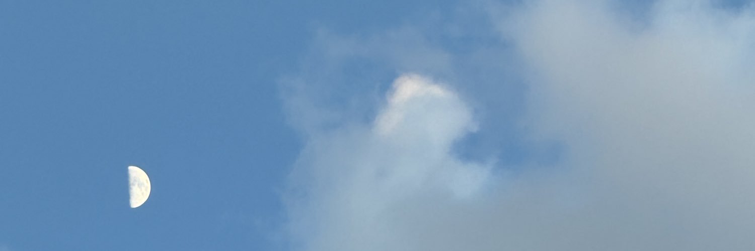 karinalxl's profile banner image