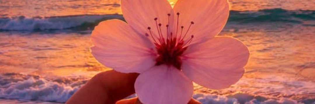 PembertonHannah's profile banner image