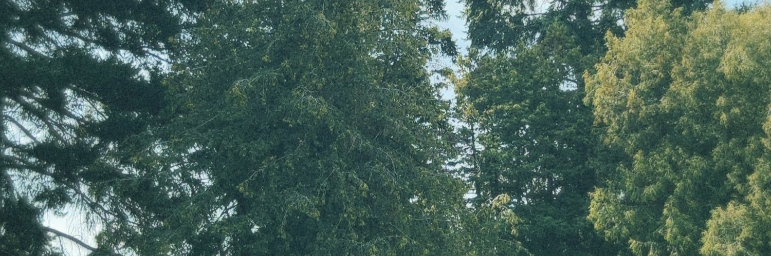 Criostd_'s profile banner image