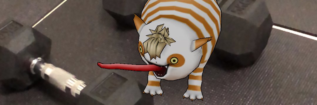 白狼@エンジョイ勢 banner