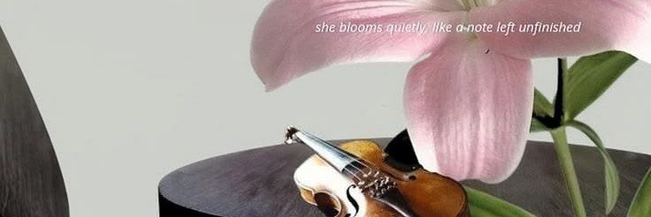 qzuince's profile banner image